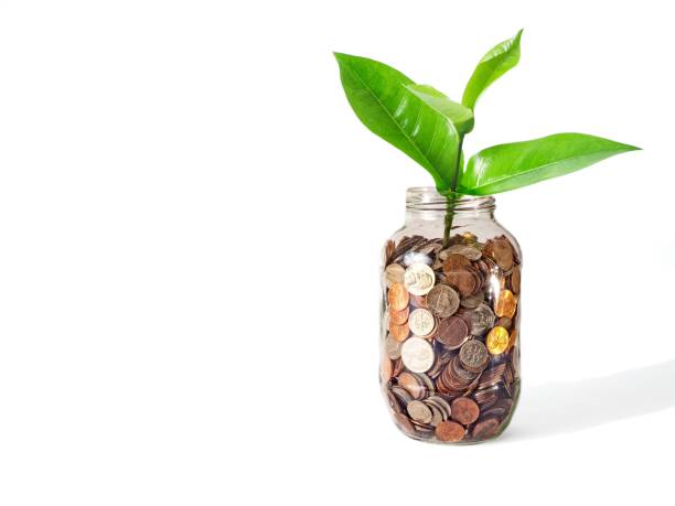 istock Saving loose change can result in financial growth and success 1335975029