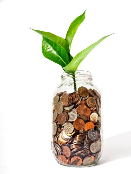 istock Saving loose change can result in financial growth and success 1335975042