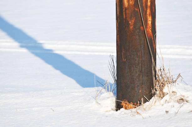 Dark brown pole in the country.