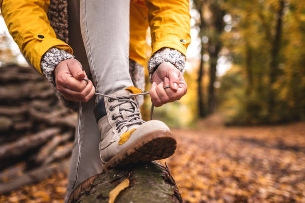 istock Get ready for hike in autumn woodland 1335978087