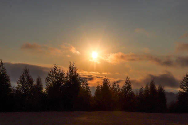 Beautiful mountain and nature scenery, sunset above the clouds, with sun shining through clouds in the background and silhouette of pine trees and vegetation in the foreground.
