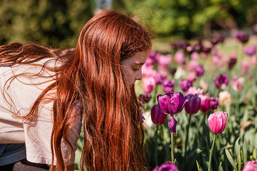 Redhead girl smiles and sniffs tulips in a flowerbed in a park in the spring afternoon on a sunny day.