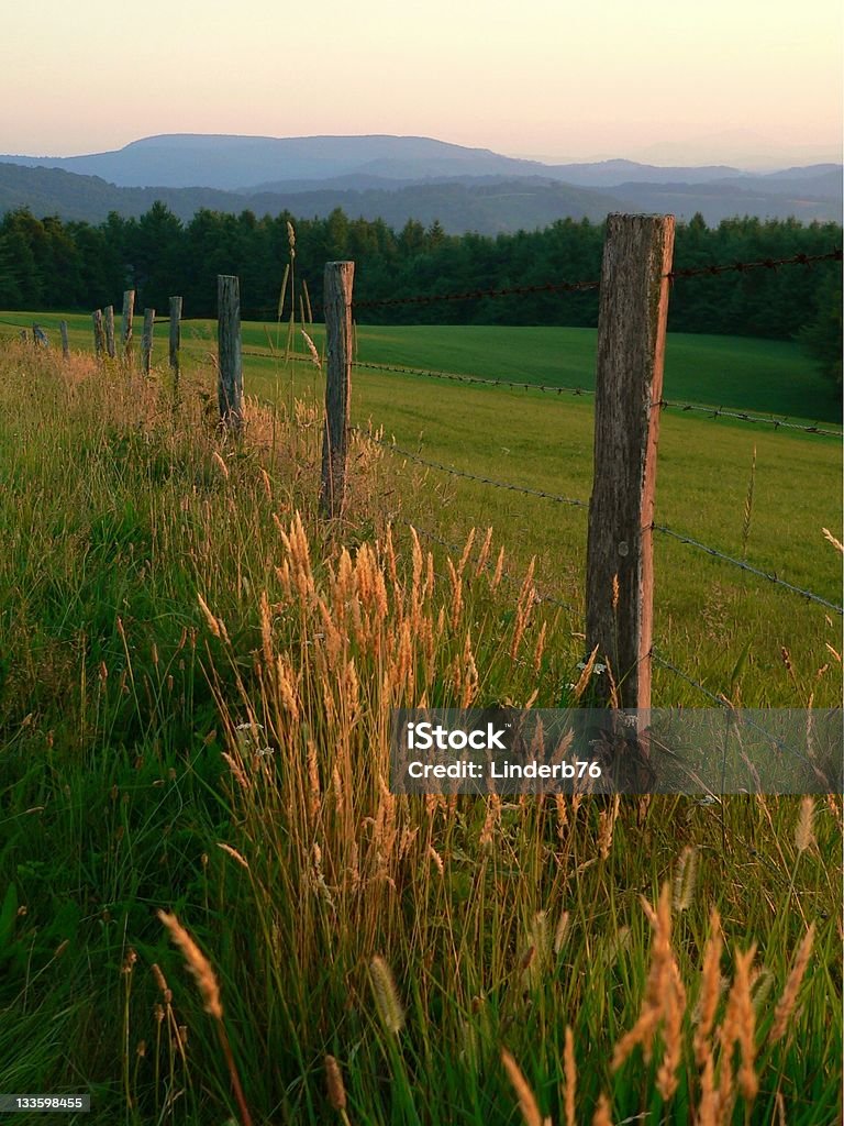 Scenic view of a barbed wire wood fence in lush green field Fence line with a mountain view Farm Stock Photo