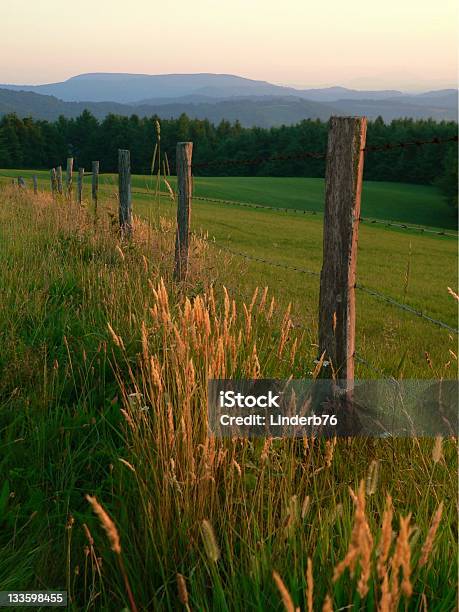 Scenic View Of A Barbed Wire Wood Fence In Lush Green Field Stock Photo - Download Image Now