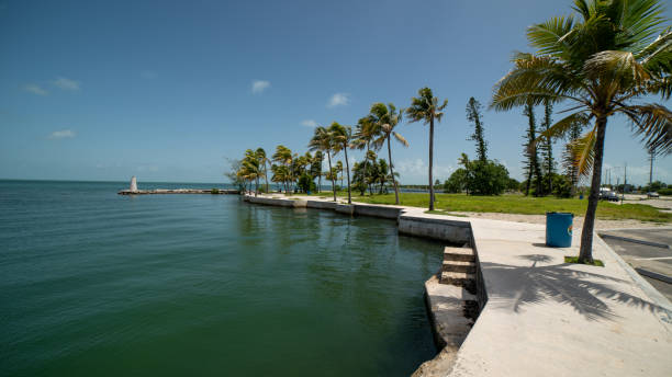 istock Florida Key Coast Road Ocean 1335986023