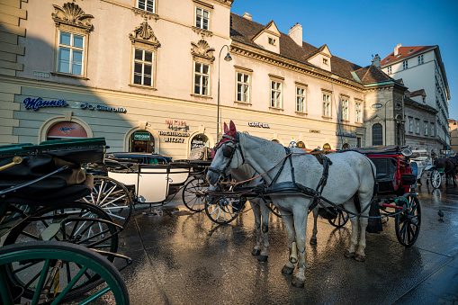 Vienna, Austria - 28 August, 2019: Horse carriage waiting tourists to arrive in a tourist tour on old streets of Vienna
