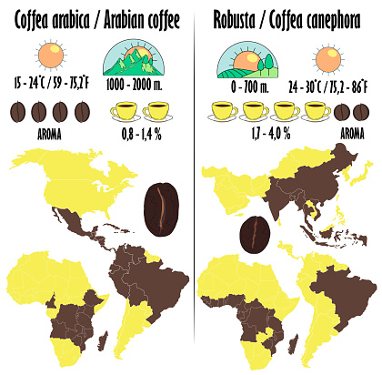 Arabica and robusta. Types of coffee with a description in the form of icons of growing, amount of caffeine, aroma, optimum temperature for maturation. Map of coffee cultivation on the world map.