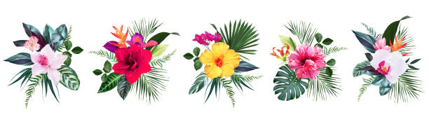 Exotic tropical flowers, orchid, strelitzia, hibiscus, bougainvillea, gloriosa, palm, monstera Exotic tropical flowers, orchid, strelitzia, hibiscus, bougainvillea, gloriosa, palm, monstera leaves vector design bouquet. Jungle forest wedding floral design. Island greenery. Isolated and editable isolated on yellow illustrations stock illustrations