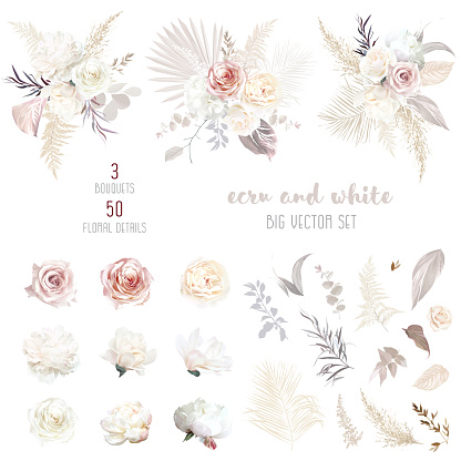 Ecru, white, blush pink rose, pale ranunculus, peony, magnolia, hydrangea, pampas grass, dried palm vector design big set.Trendy flowers. Beige, gold, taupe color. Elements are isolated and editable