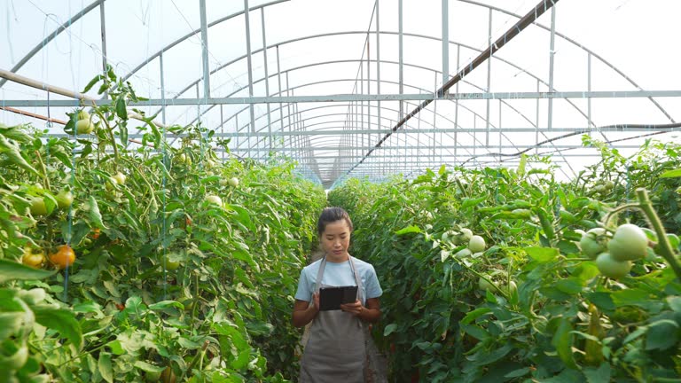 Planning all the details before harvesting.