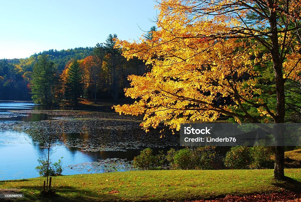 Herbst Schönheit - Lizenzfrei Appalachen-Region Stock-Foto