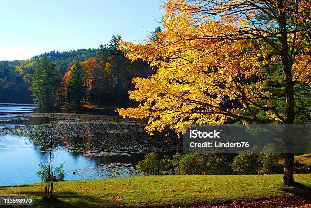 Herbst Schönheit Stockfoto und mehr Bilder von Appalachen-Region - Appalachen-Region, Baum, Berg
