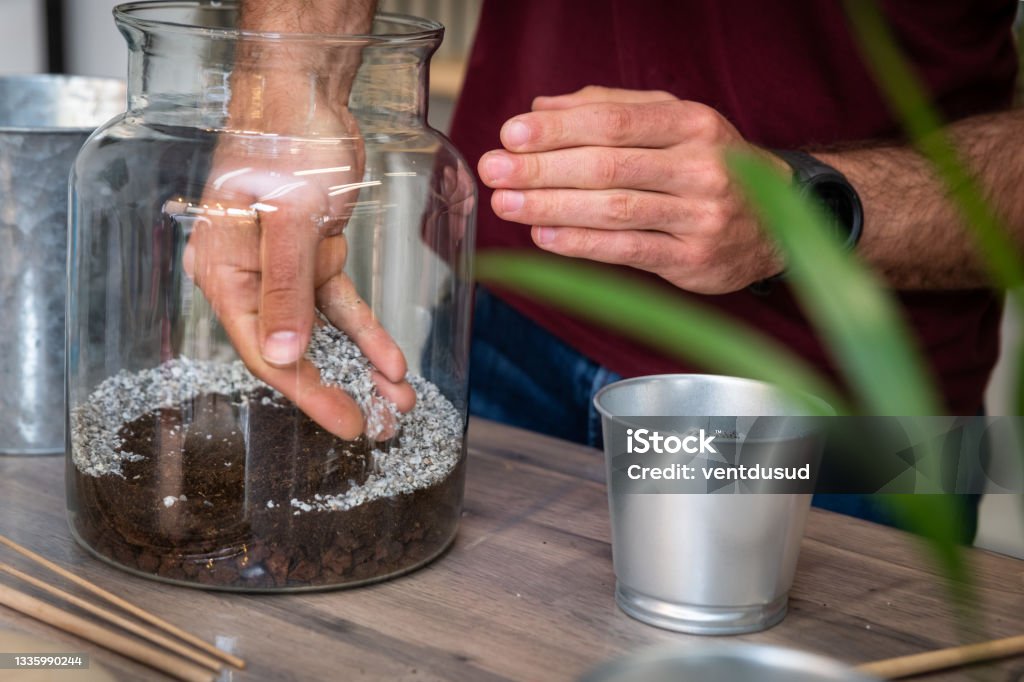 Hand made a terrarium with green plants manufacturing a terrarium with plants Terrarium Stock Photo