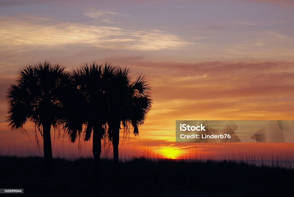 Südküste Sonnenaufgang - Lizenzfrei Myrtle Beach Stock-Foto