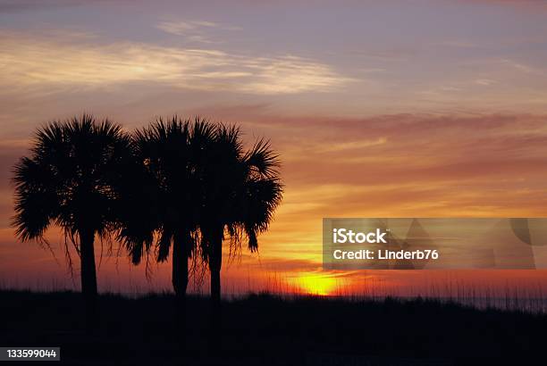 Südküste Sonnenaufgang Stockfoto und mehr Bilder von Myrtle Beach - Myrtle Beach, Bunt - Farbton, Palme