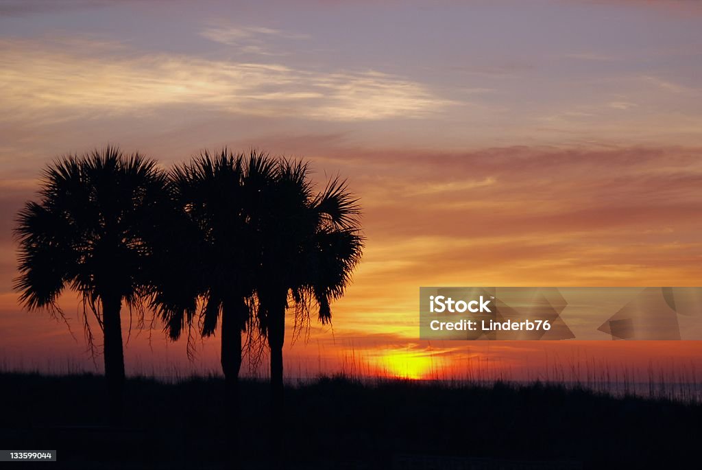 Côte sud de Sunrise - Photo de Myrtle Beach libre de droits