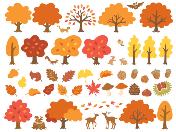 illustrationsset verschiedener herbstbäume und waldtiere - herbst kollektion stock-grafiken, -clipart, -cartoons und -symbole