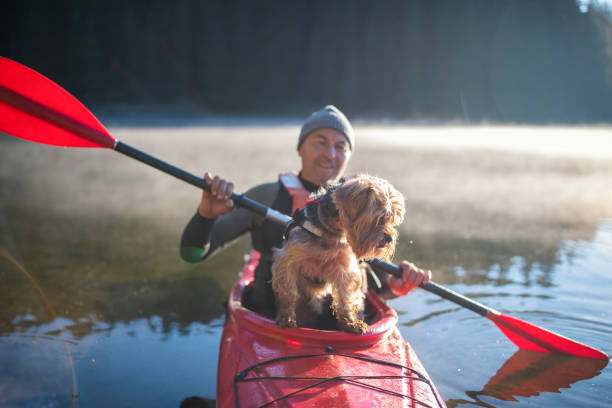istock Senior man and his terrier dog kayaking on lake 1335994325