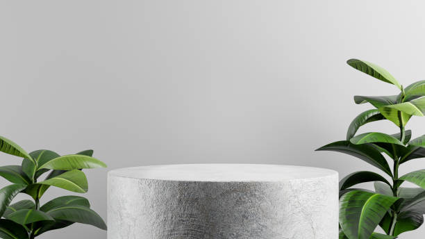 istock podium concrete with plant for your product display 1335994814