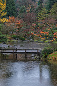 herbst-in-seattle.jpg?b=1&s=170x170&k=20