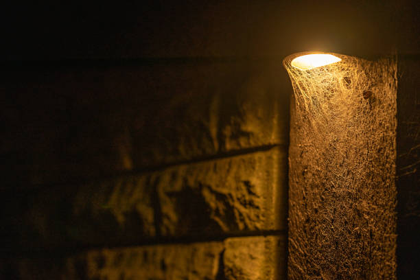 Vintage night street lamp in Pymble, Sydney suburb.