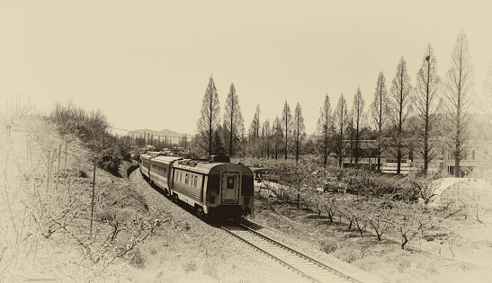 A train running on a railroad track in the countryside in bloom