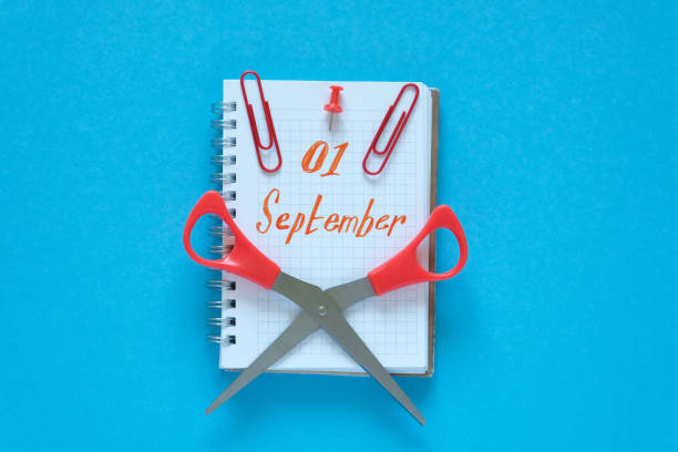 istock Flat lay. Blue background. In the center is a notebook with the text 