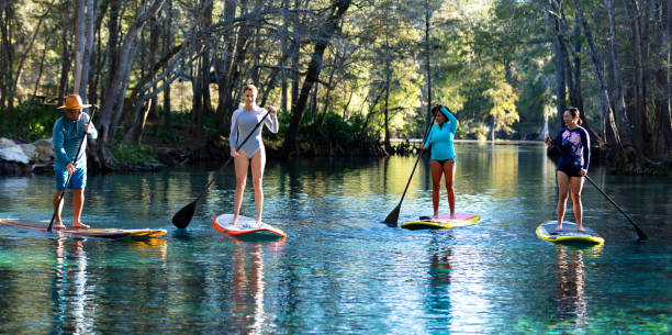 eco tour group of three women with guide on paddleboards - florida river eco tourism plant imagens e fotografias de stock