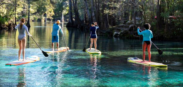 eco tour group of three women with guide on paddleboards - florida river eco tourism plant imagens e fotografias de stock