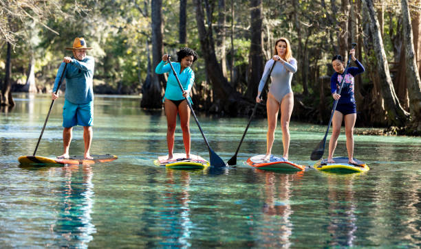 istock Eco tour group of women with guide on paddle boards 1336011449