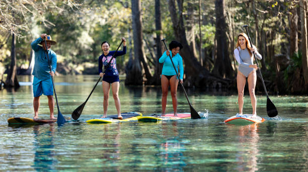 istock Eco tour group of women with guide on paddle boards 1336011459