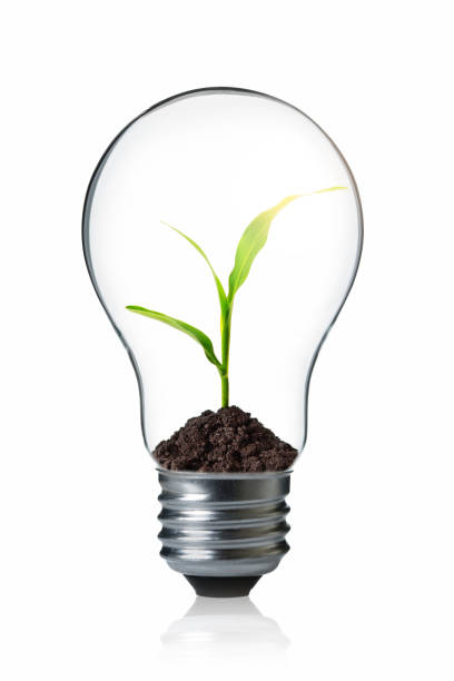 concepto de energía verde - recycled bulb fotografías e imágenes de stock