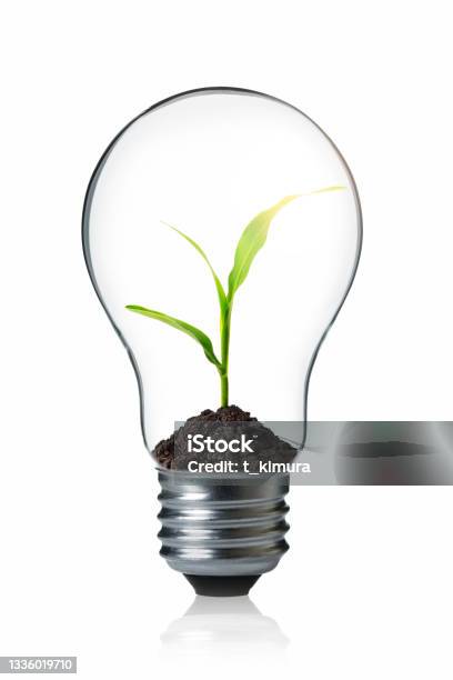 Green Energy Concept Stock Photo - Download Image Now - Light Bulb, Plant, Energy Efficient