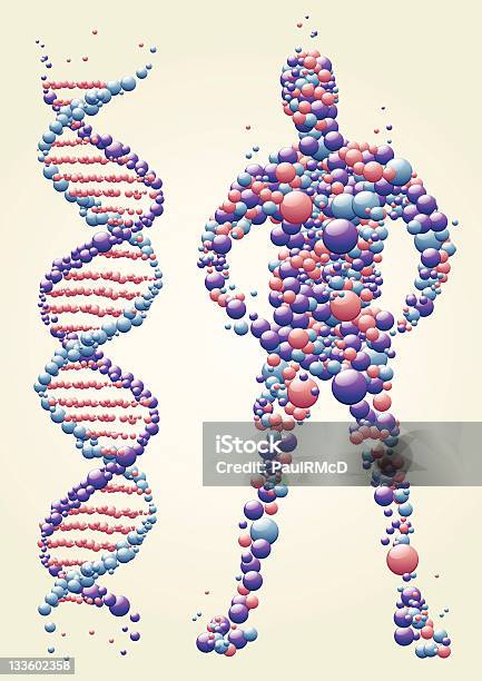 Dna Człowiek - Stockowe grafiki wektorowe i więcej obrazów DNA - DNA, Ciało ludzkie, Mężczyźni