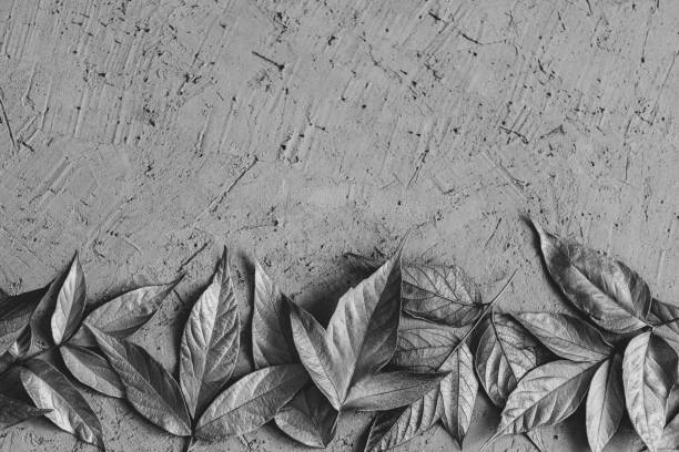 Green Leafs in Wildlife