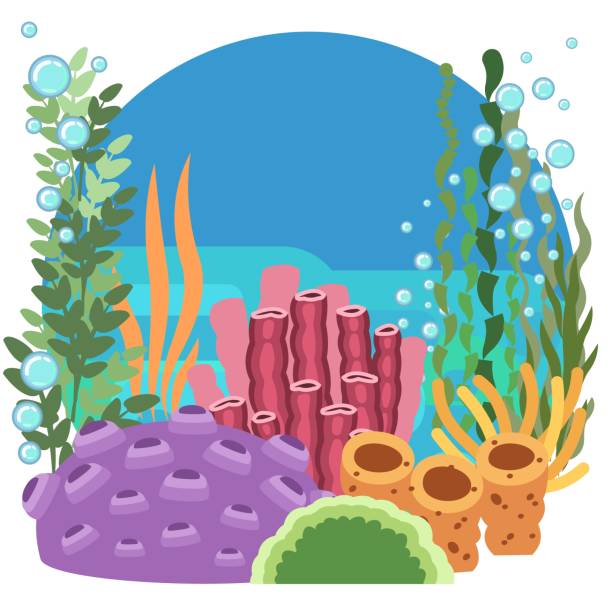 дно водохранилища. морской океан. подводный. ландшафт с растениями, водорослями и кораллами. пузыри. изолированный. иллюстрация в мультяшно - lagoon stock illustrations