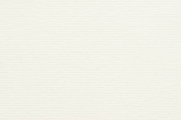 istock texture of white design paper for printing 1336047555