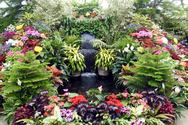 istock Flora, Butchart, Vancouver Island, British Columbia, Canada 1336049214