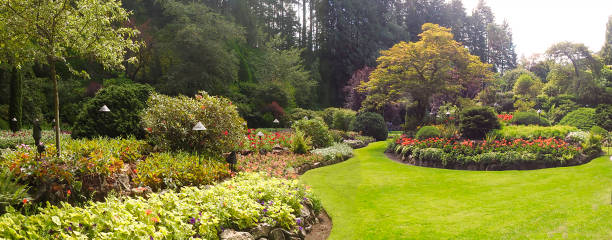 Flora, Butchart Garden, Vancouver Island, British Columbia, Canada stock photo