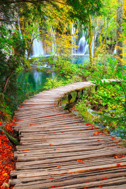 belas cores de outono nos famosos lagos plitvice, muitas cachoeiras lindas, parque nacional plitvice - plitvice lakes national park water lake national park - fotografias e filmes do acervo