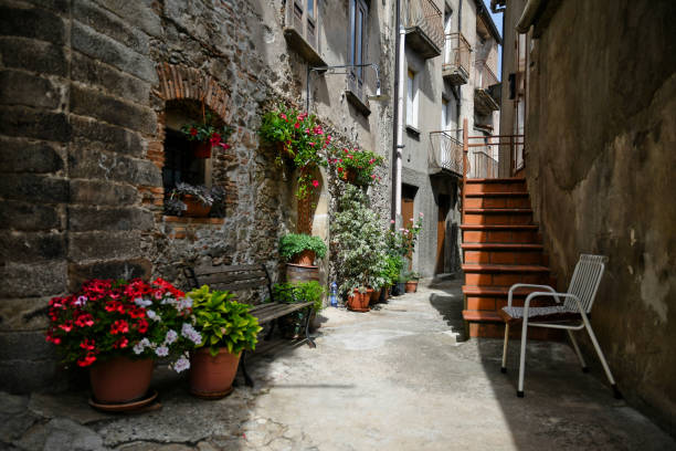 il borgo medievale di san giovanni in fiore, in calabria. - italy calabria ancient city foto e immagini stock