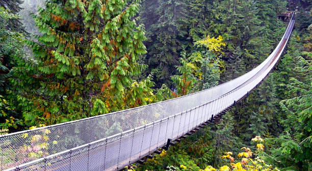 Capilano Bridge, Vancouver, British Columbia, Canada stock photo