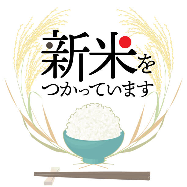 reis (japonica) mit reisschalenaufkleber vektorillustration. text bedeutet auf japanisch "aus neu geerntetem reis". - rice paddy rice food short grain rice stock-grafiken, -clipart, -cartoons und -symbole