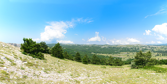 Panorama with a view of a mountain valley with green forests