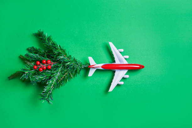 istock Airplane and fir tree branch 1336061156