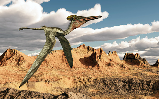Computer generated 3D illustration with the pterosaur Pterodactylus flying over a landscape
