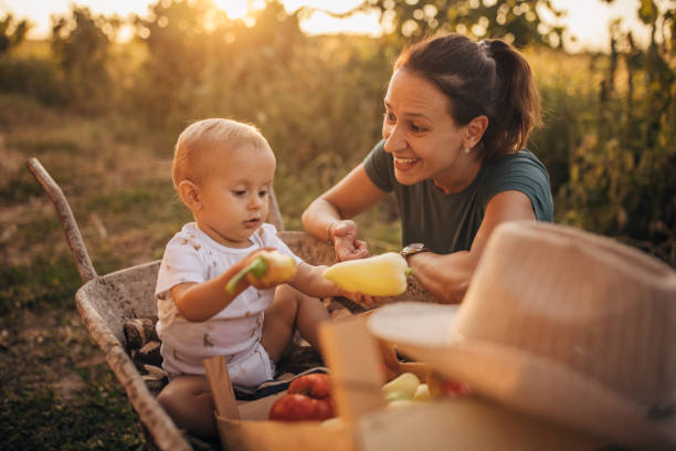 istock Mother and son on a farm 1336066568