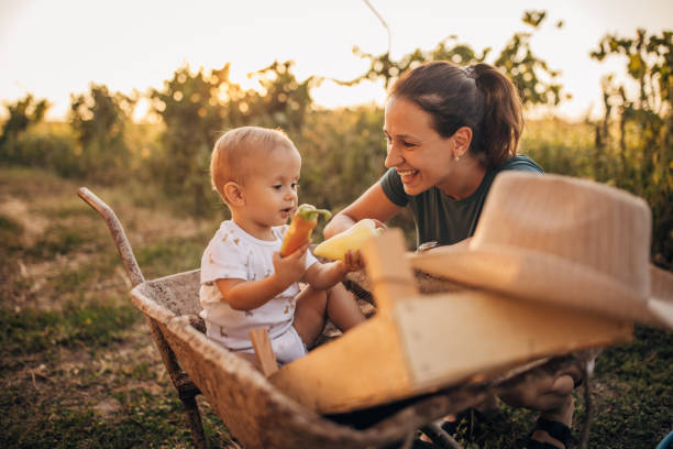 istock Mother and son on a farm 1336066575