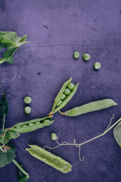 Raw green peas on dark stone background