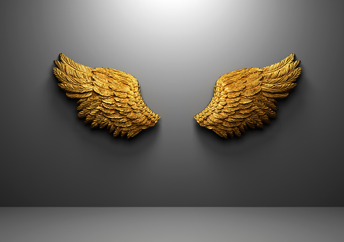 Gold angel wings on wall. Template for photography